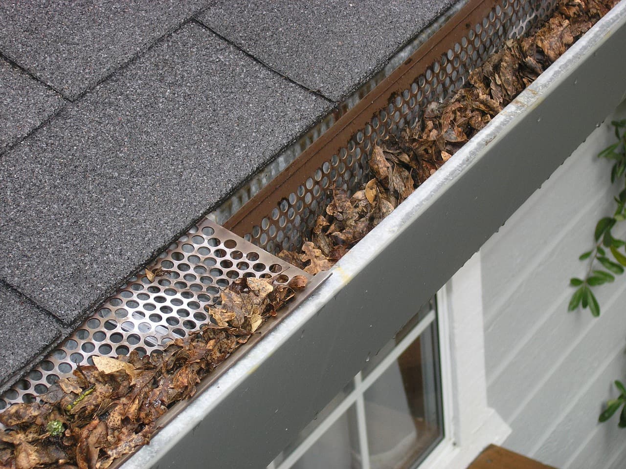 Gutter along the edge of a roof, filling with leaves